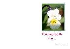 Frühlingskarte-4.pdf